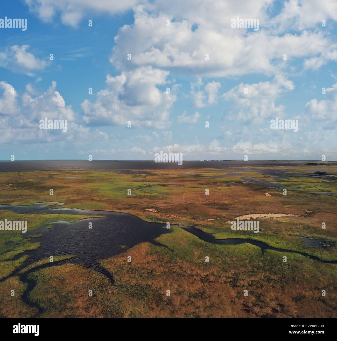 Aerial view of Swamp near Gulf of Mexico in Florida Stock Photo