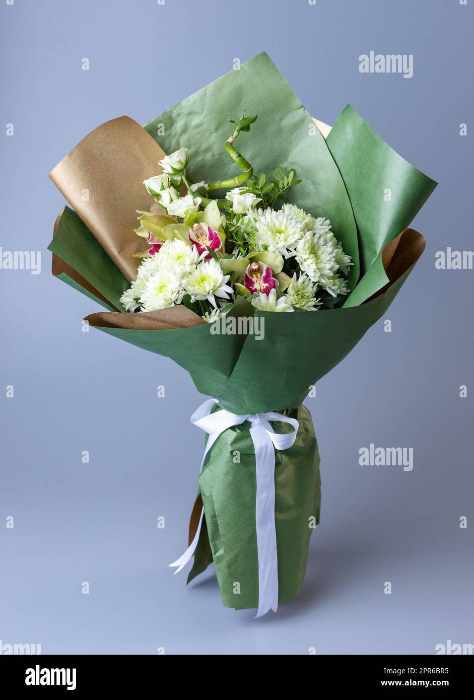 Green chrysanthemums hires stock photography and images Alamy
