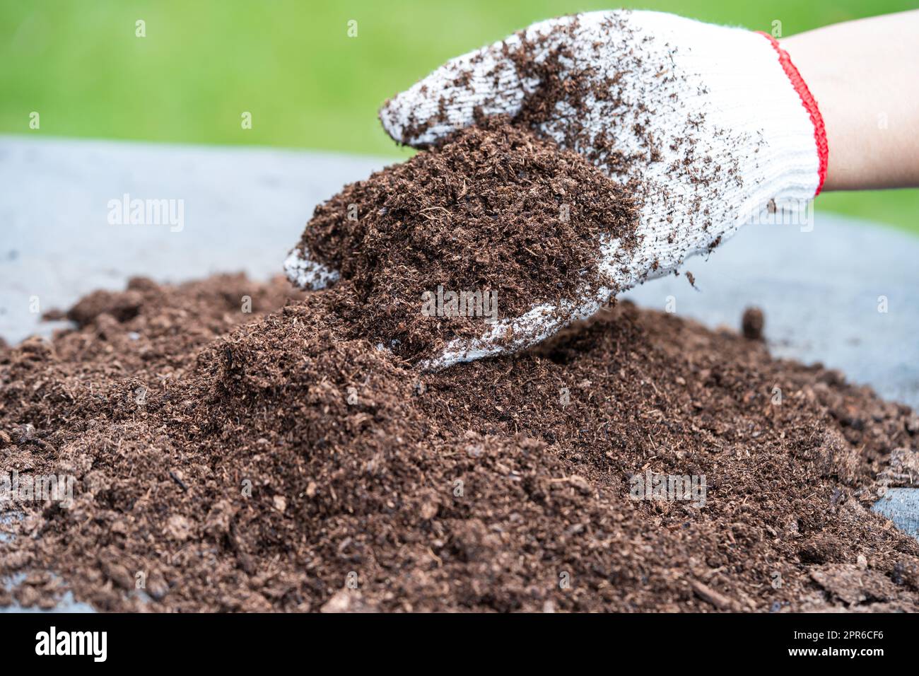 Hand holding peat moss organic matter improve soil for agriculture organic  plant growing, ecology concept. 21394166 Stock Photo at Vecteezy