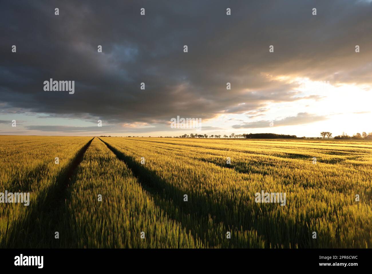Sunrise over spring field hi-res stock photography and images - Alamy