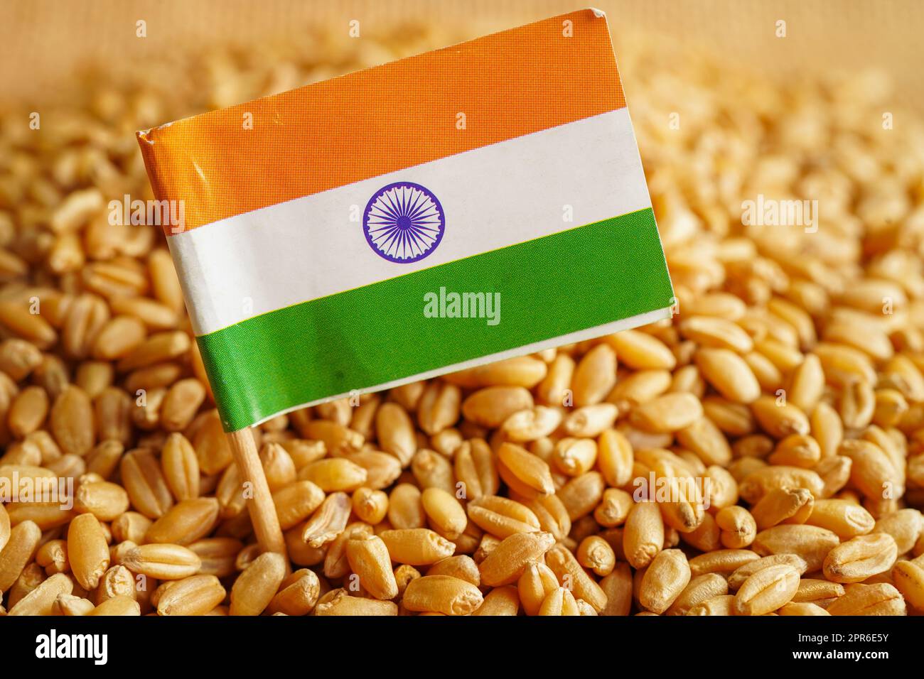 India on grain wheat, trade export and economy concept Stock Photo Alamy