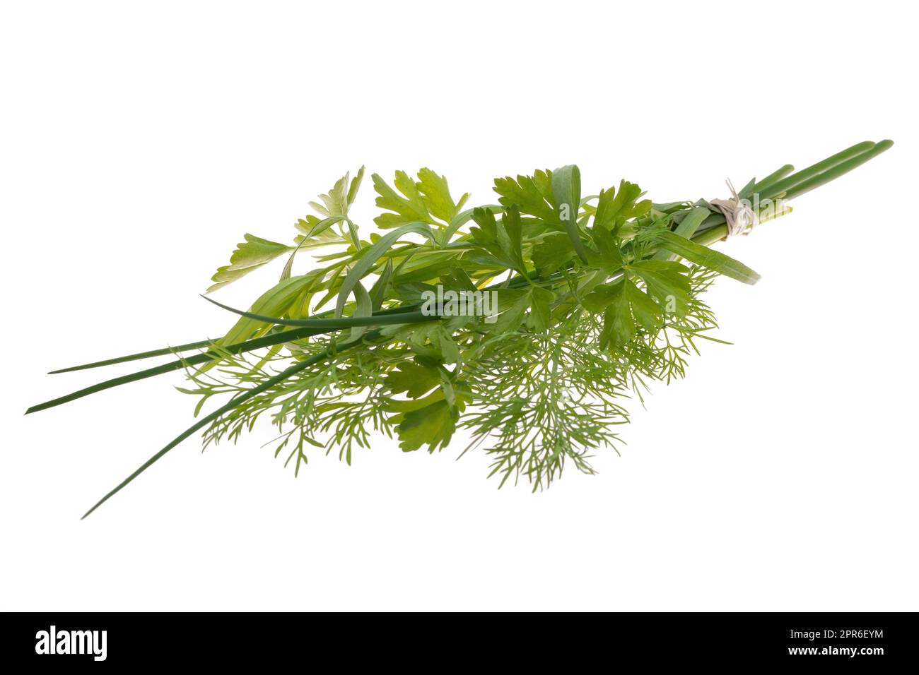 Bundle of fresh kitchen herbs on white Stock Photo