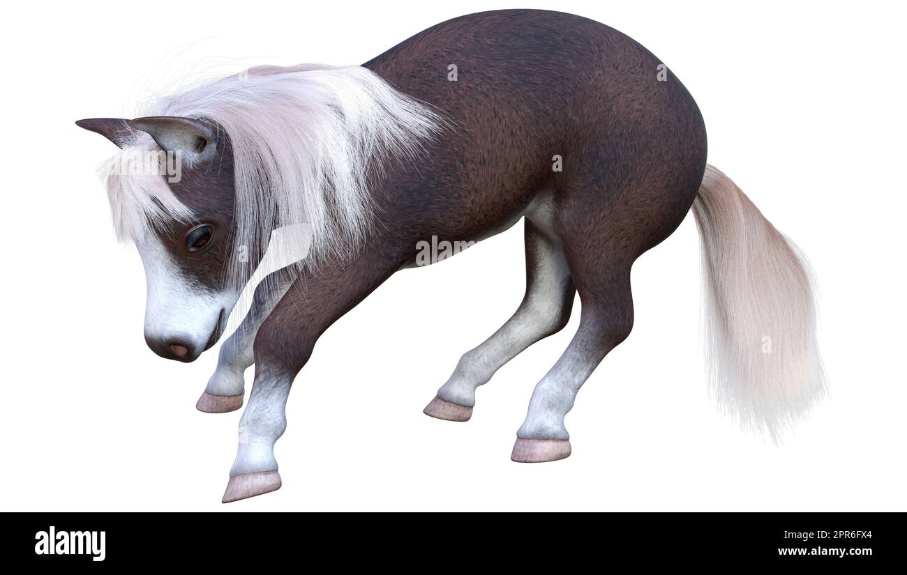 3D rendering of a pony or a small horse or Equus ferus caballus isolated on white background Stock Photo