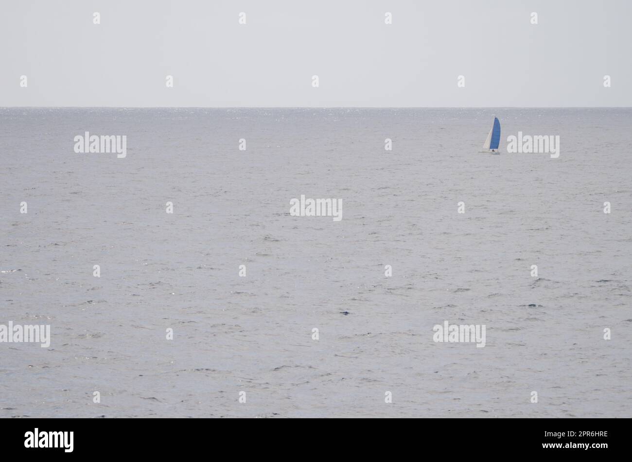 Sailboat in the Atlantic Ocean Stock Photo - Alamy