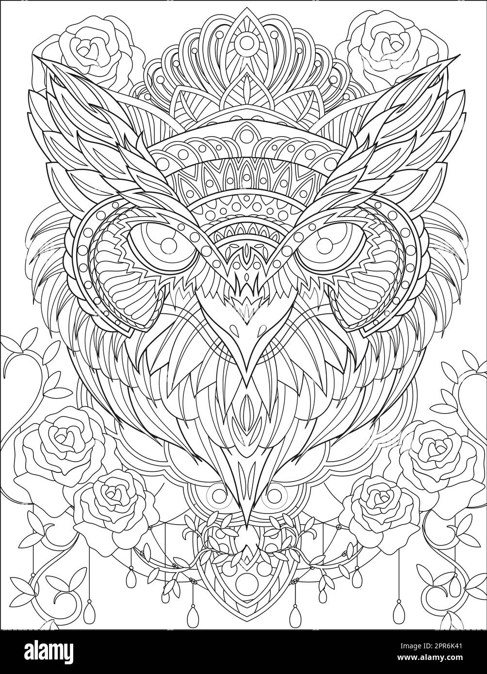 Close Up Owl Head With Crown Surrounding Rose Flower Vines Line Drawing. Stock Photo
