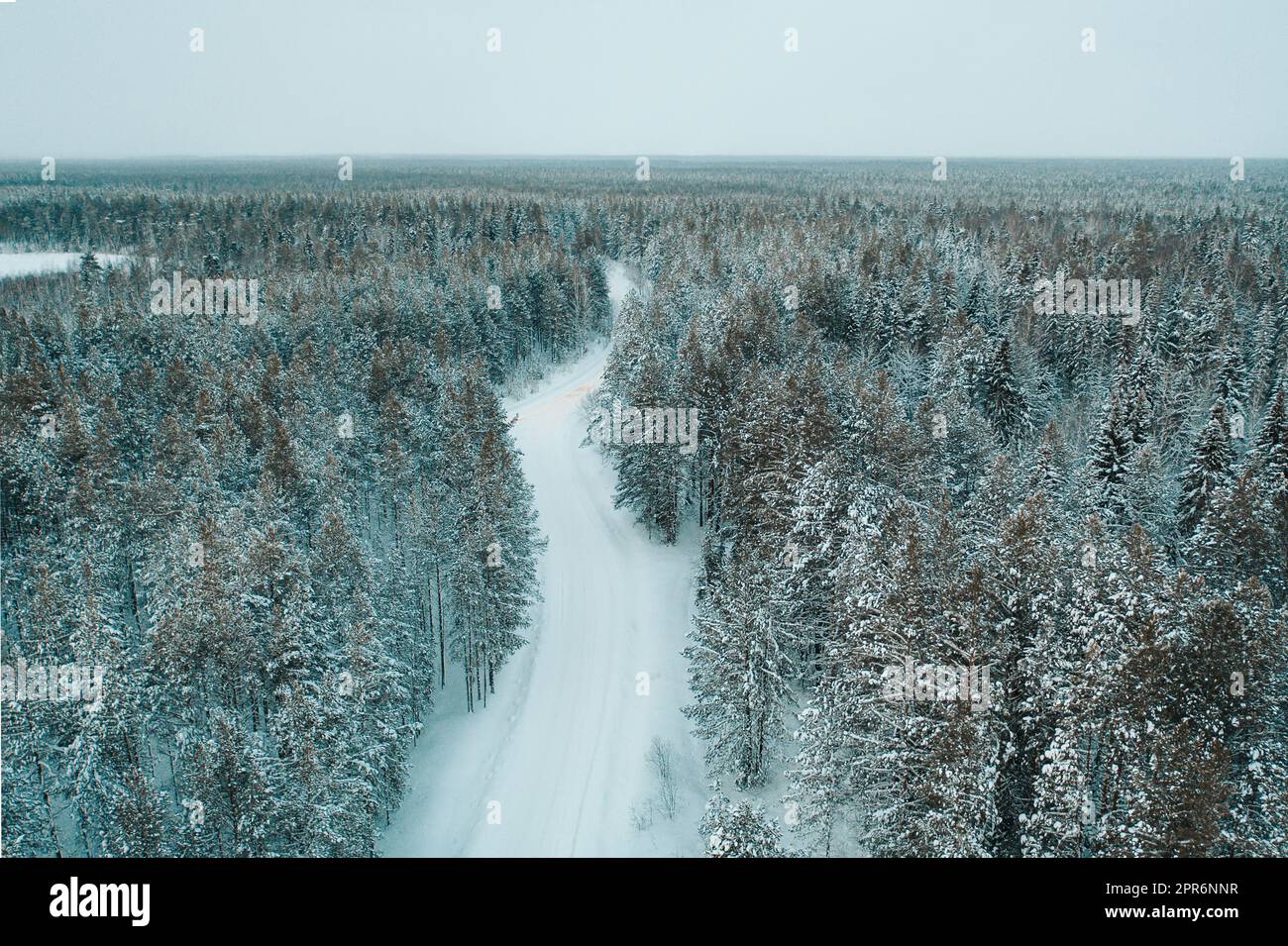 Aerial view snowy forest in hi-res stock photography and images - Alamy