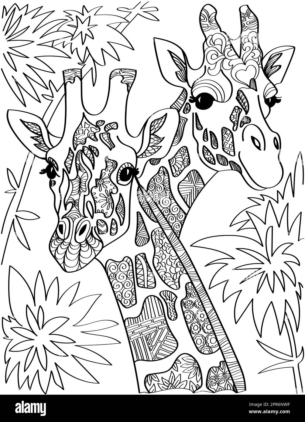 Two Giraffe Head Looking At Both Sides Tall Trees Colorless Line Drawing. Stock Photo