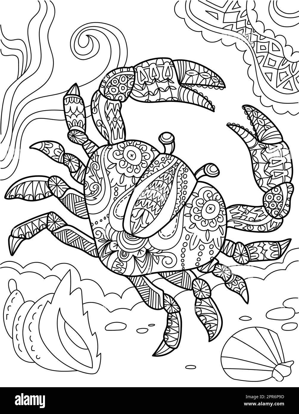 Large Crab Top View Underwater Surrounded By Sea Shells Line Drawing Stock Photo Alamy