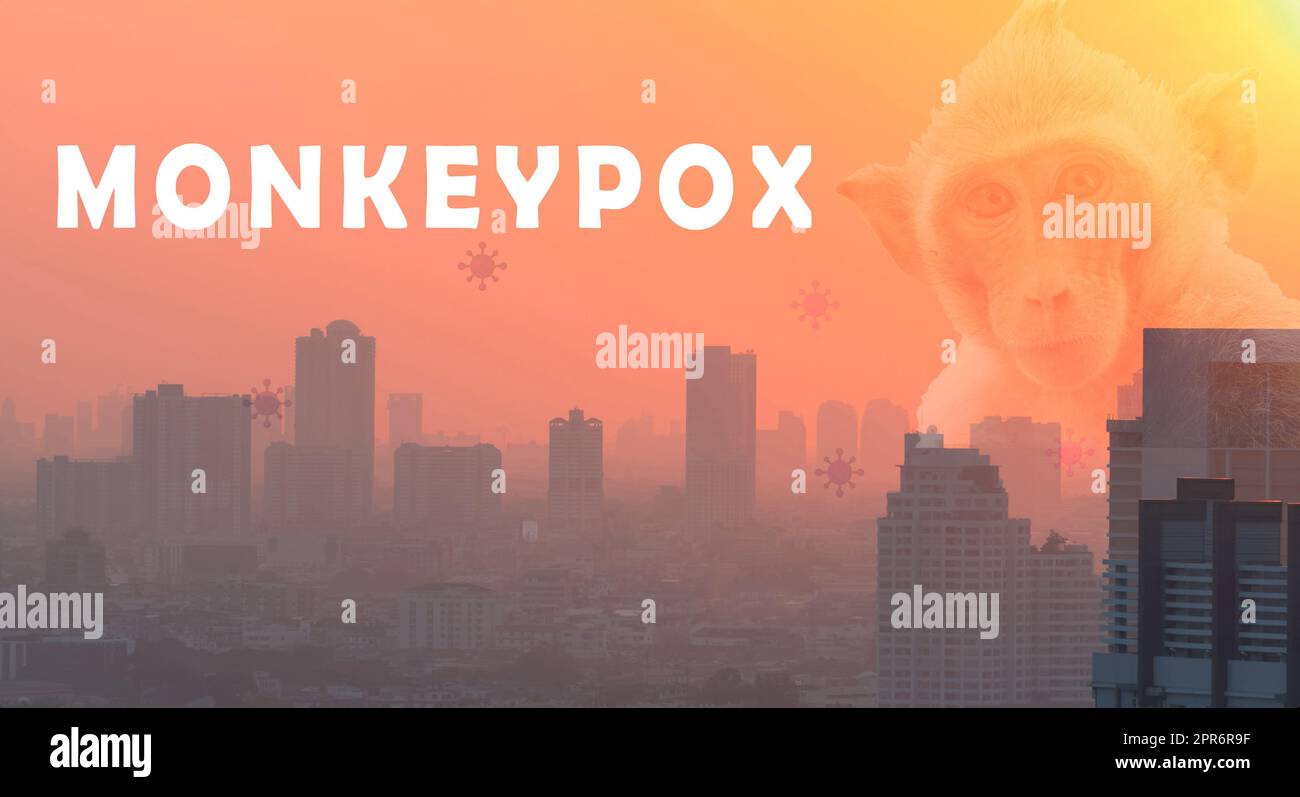 Monkeypox outbreak concept. Monkeypox is caused by monkeypox virus. Monkeypox outbreaks in the city need smallpox vaccine to prevention. Cityscape, monkey, and monkey pox virus background. Stock Photo