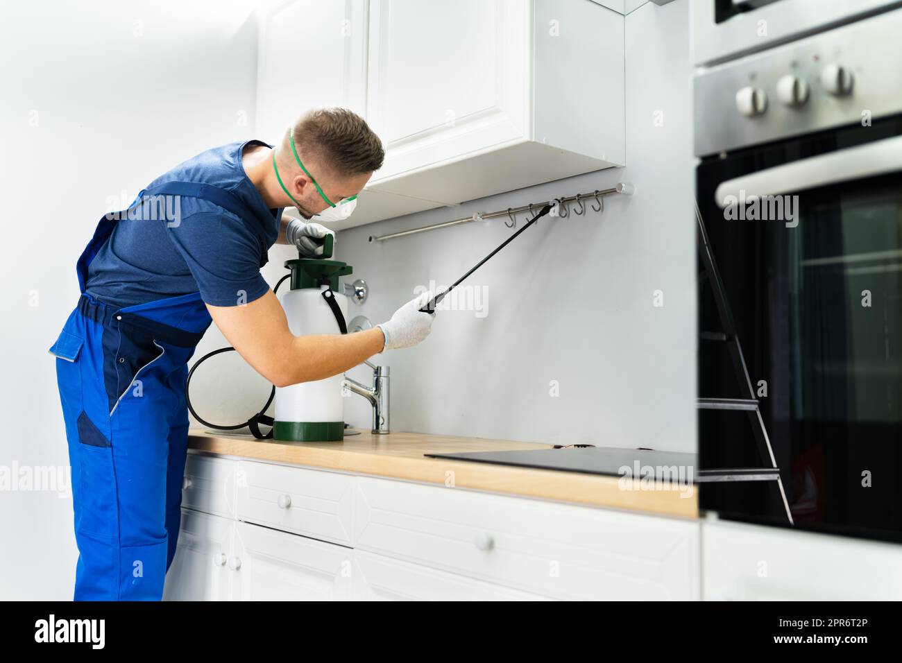 Pest Control Worker Spraying Insecticide In Domestic Kitchen Stock
