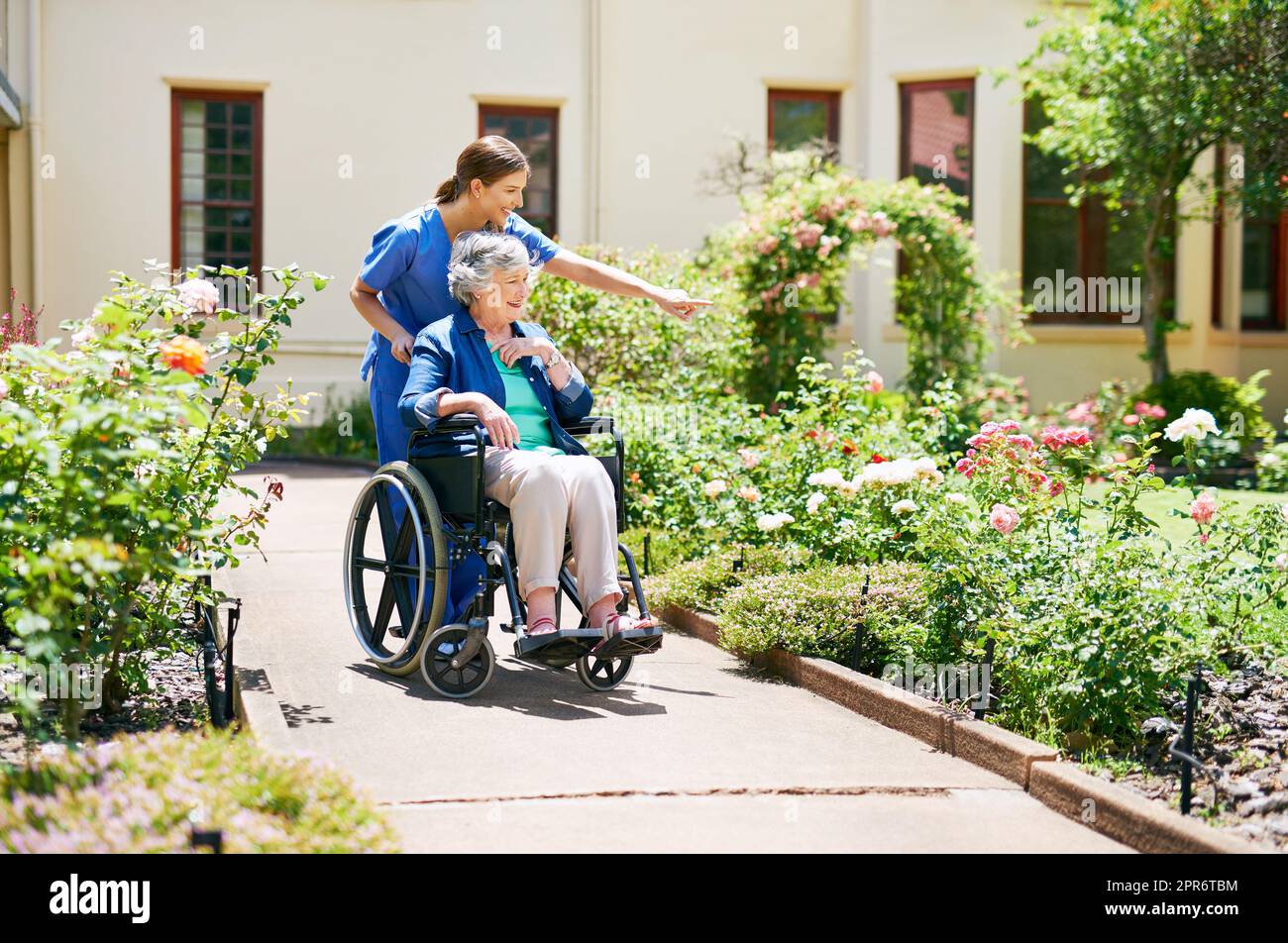 Naming the flowers as they go. Shot of a resident and a nurse outside in the retirement home garden. Stock Photo