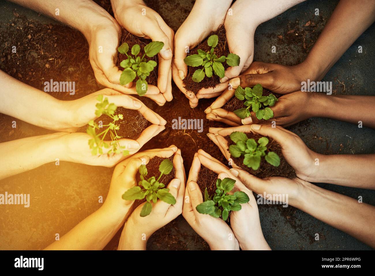 Green is a way of life. Cropped shot of a group of people holding plants growing out of soil. Stock Photo