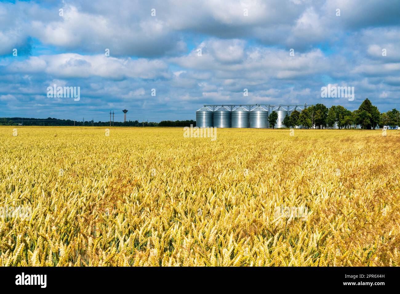Grain storage silos system, behind a wheat field Stock Photo