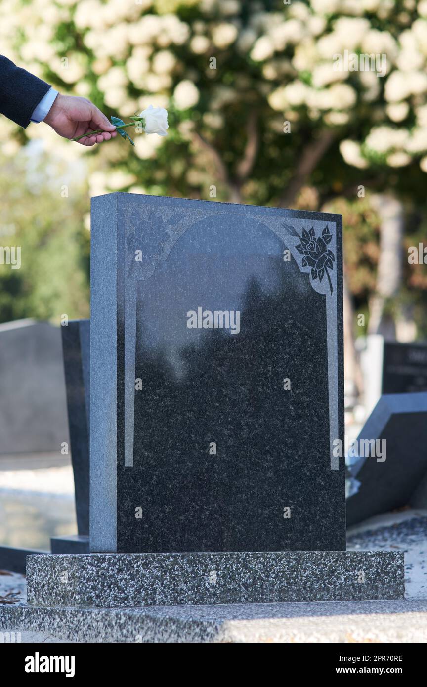 The final goodbye. Cropped shot of a man placing a white rose on a grave. Stock Photo