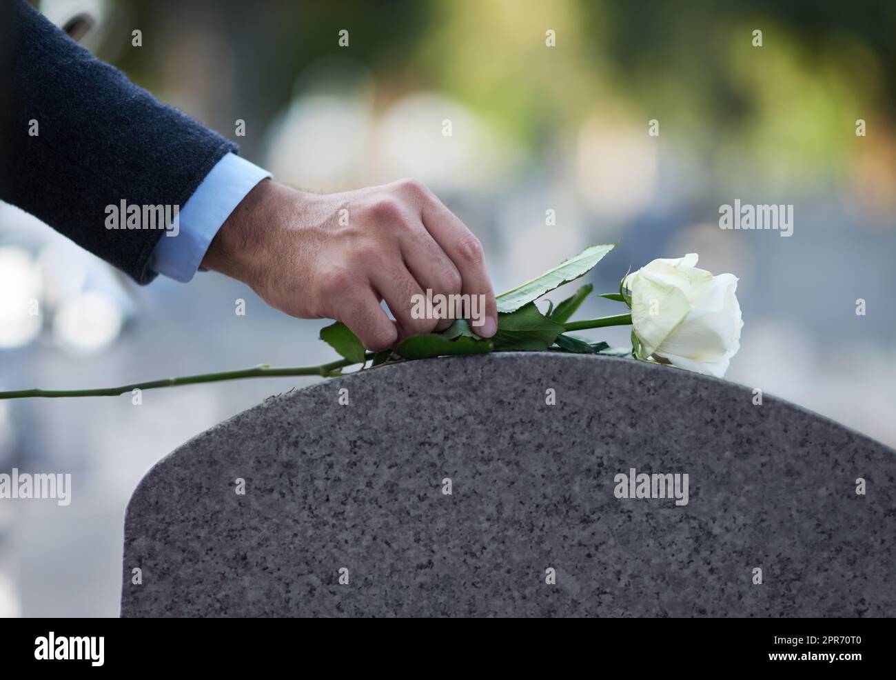 Paying his respects. Cropped shot of a man placing a white rose on a grave. Stock Photo