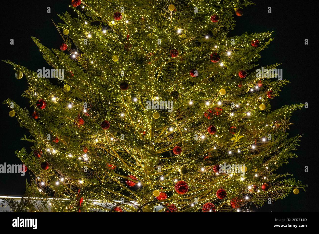 Shiny Christmas tree (Christmas Market) Stock Photo