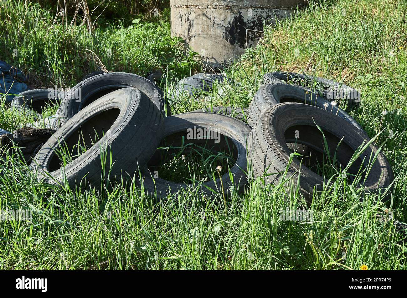 a bunch of old car tires are lying in the grass Stock Photo Alamy