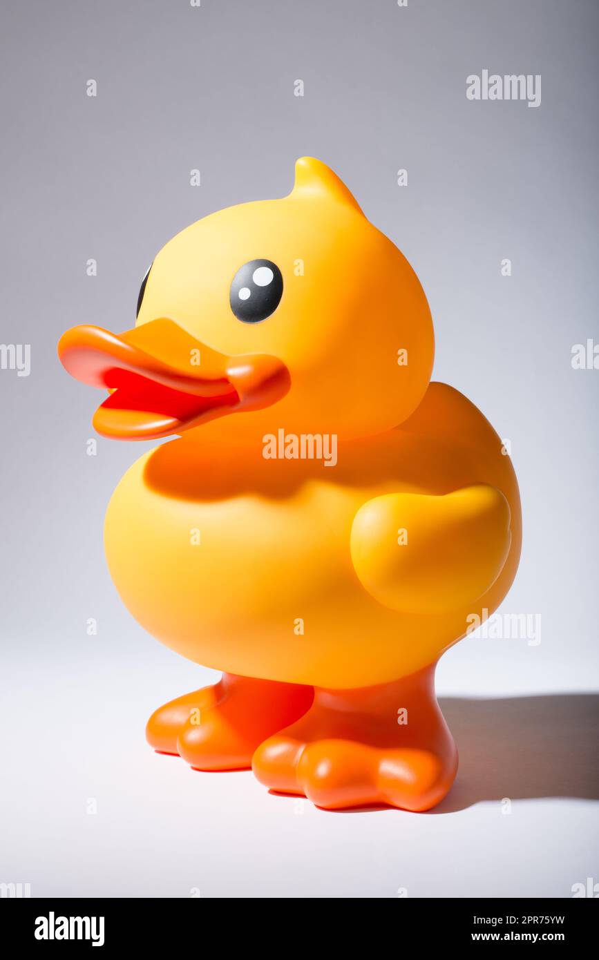 Giant Rubber Duck. Shot of a rubber duck against a studio background