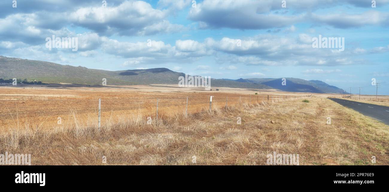 Harvested farm land beside a highway on cloudy day. Empty wheat field against a blue sky horizon. Rural agriculture with dry pasture near mountains. Grass growing beside an empty road in the country Stock Photo