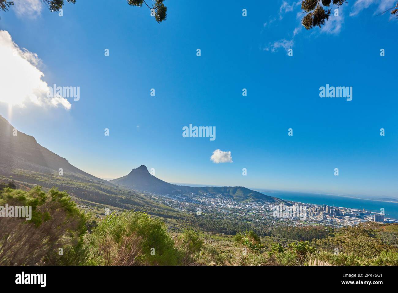 Landscape of a mountain and city in South Africa. Wide angle of shrubs and wild bushes against a bright blue horizon of Cape Town. View of Lions Head, a popular travel destination near Table Mountain Stock Photo