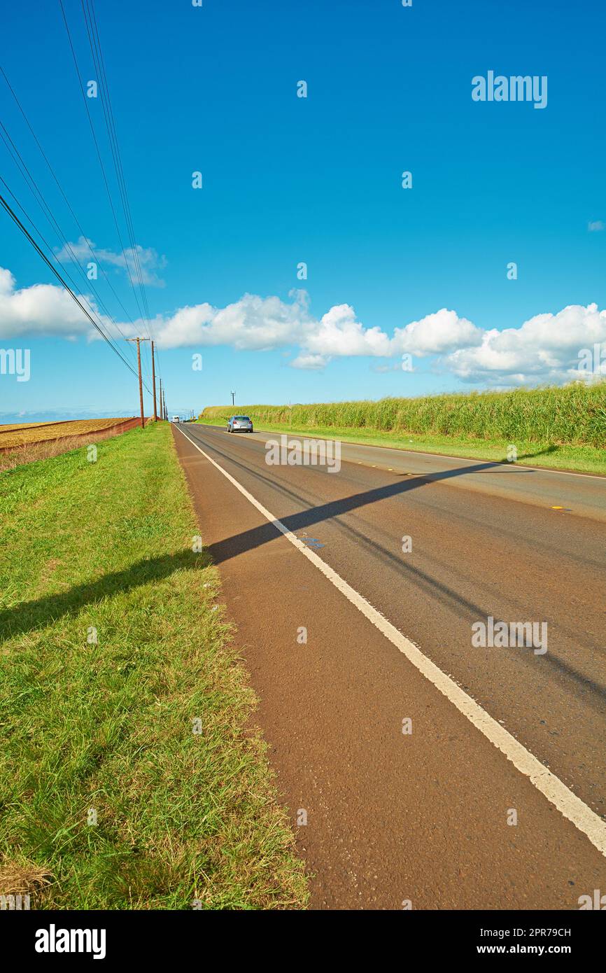 A vehicle in the distance riding on an open highway road leading through agricultural farms. Landscape of growing pineapple plantation field with blue sky, clouds, and copy space in Oahu, Hawaii, USA Stock Photo