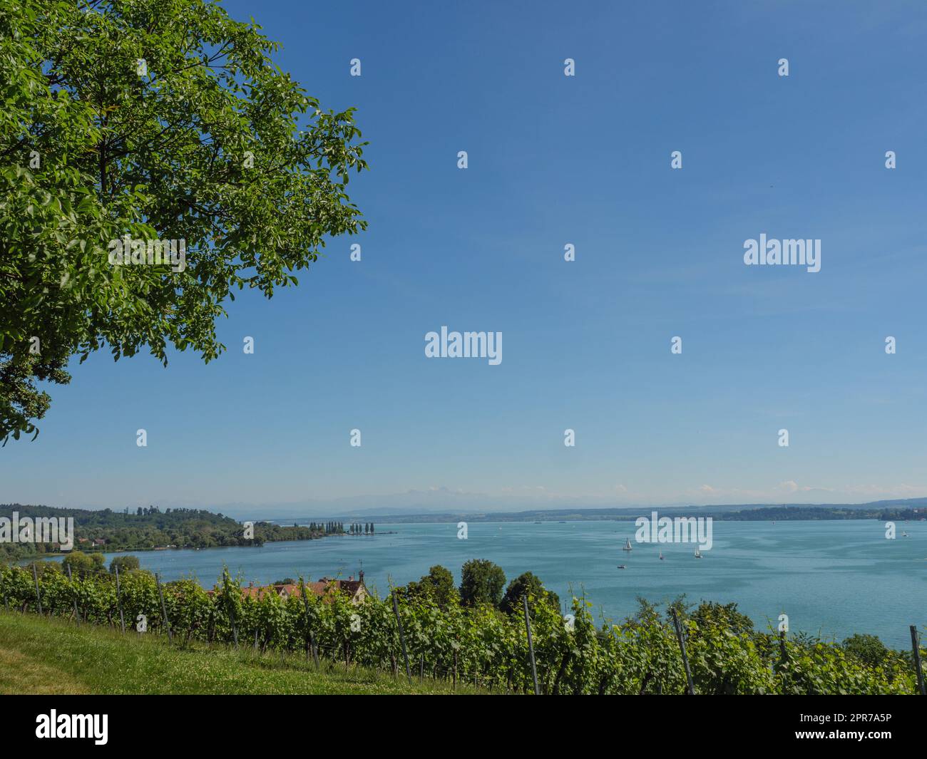 at the lake constance in germany Stock Photo - Alamy
