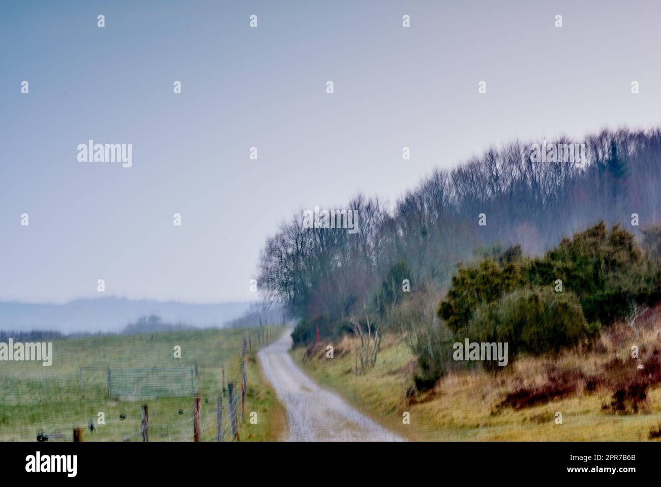 A road in a foggy atmosphere at a farm on a summer morning. The landscape of a dirt roadway near lush green plants, grass and trees on a misty spring afternoon with copy space Stock Photo