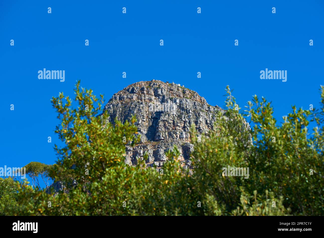 Panorama of Lions Head in Table Mountain National Park, Cape Town, South Africa with copy space. Beautiful landscape view of a peak in a blue sky on a summer day with lush green plants or trees Stock Photo