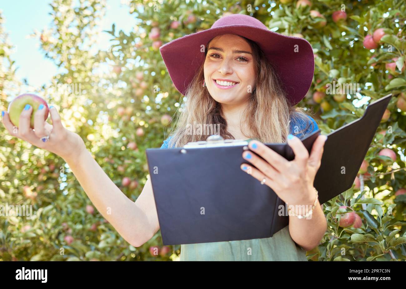 Woman holding an apple and a clipboard on a sustainable orchard farm in summer. Happy farmer doing stock taking and checking a checklist while harvesting fresh organic green and red fruit from trees Stock Photo