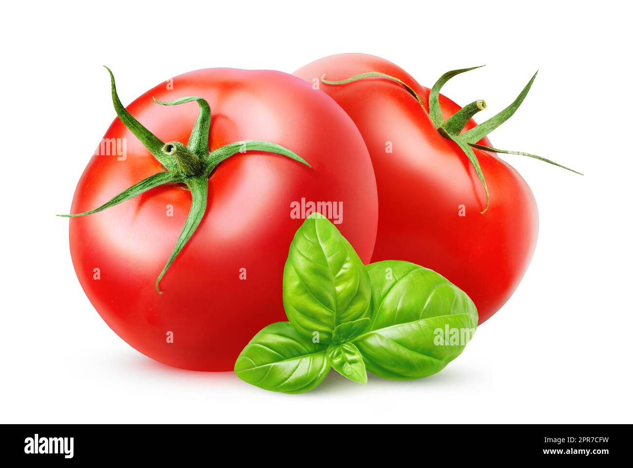 Two tomatoes and basil isolated on white background Stock Photo