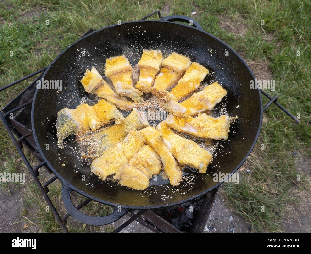 Roasting pike in a pan on fire. Small crispy pieces of fish are fried in oil. The concept of cooking food in nature. Shallow depth of field. Stock Photo