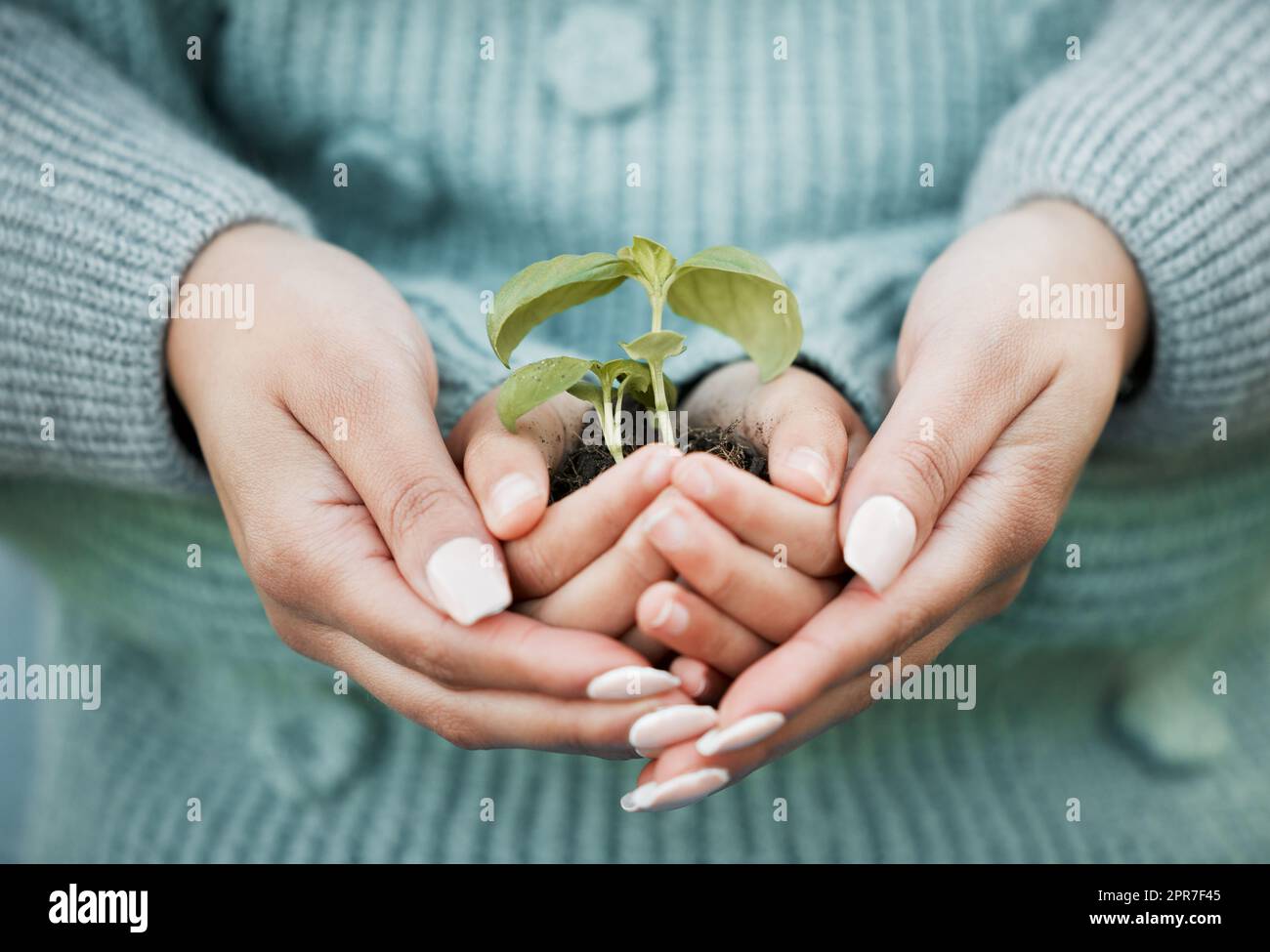 Its the differences within our family that make us unique. Shot of a unrecognizable woman and a little girl holding a plant outside. Stock Photo