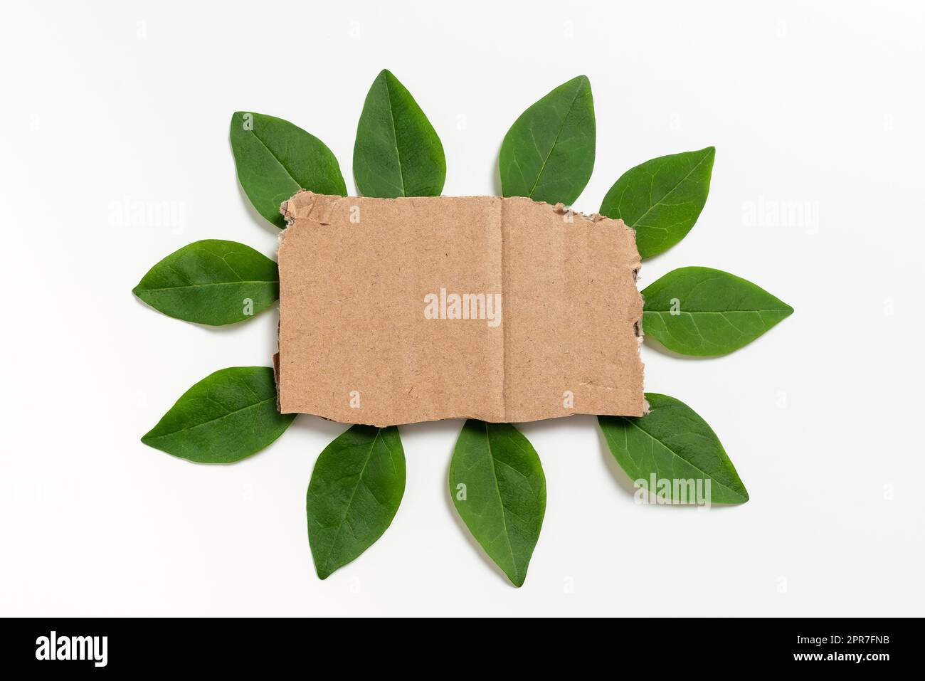 Blank Cardboard Paper Placed Between Fresh Leaves For Layout Of Wedding