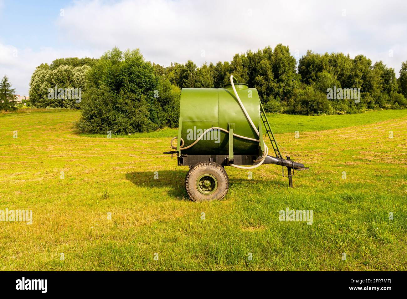 Green water tank for the cattle Stock Photo