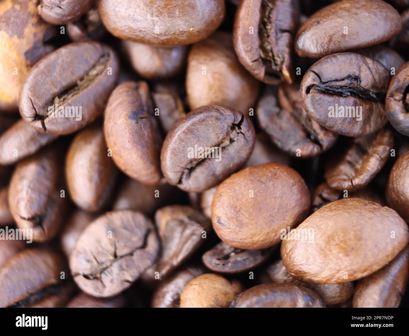 delicious roasted natural coffee beans with careful aroma flavor Stock Photo