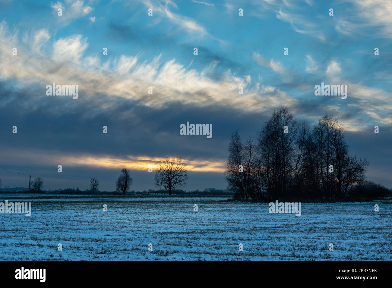 Abstract clouds in the winter evening and trees in the field Stock Photo