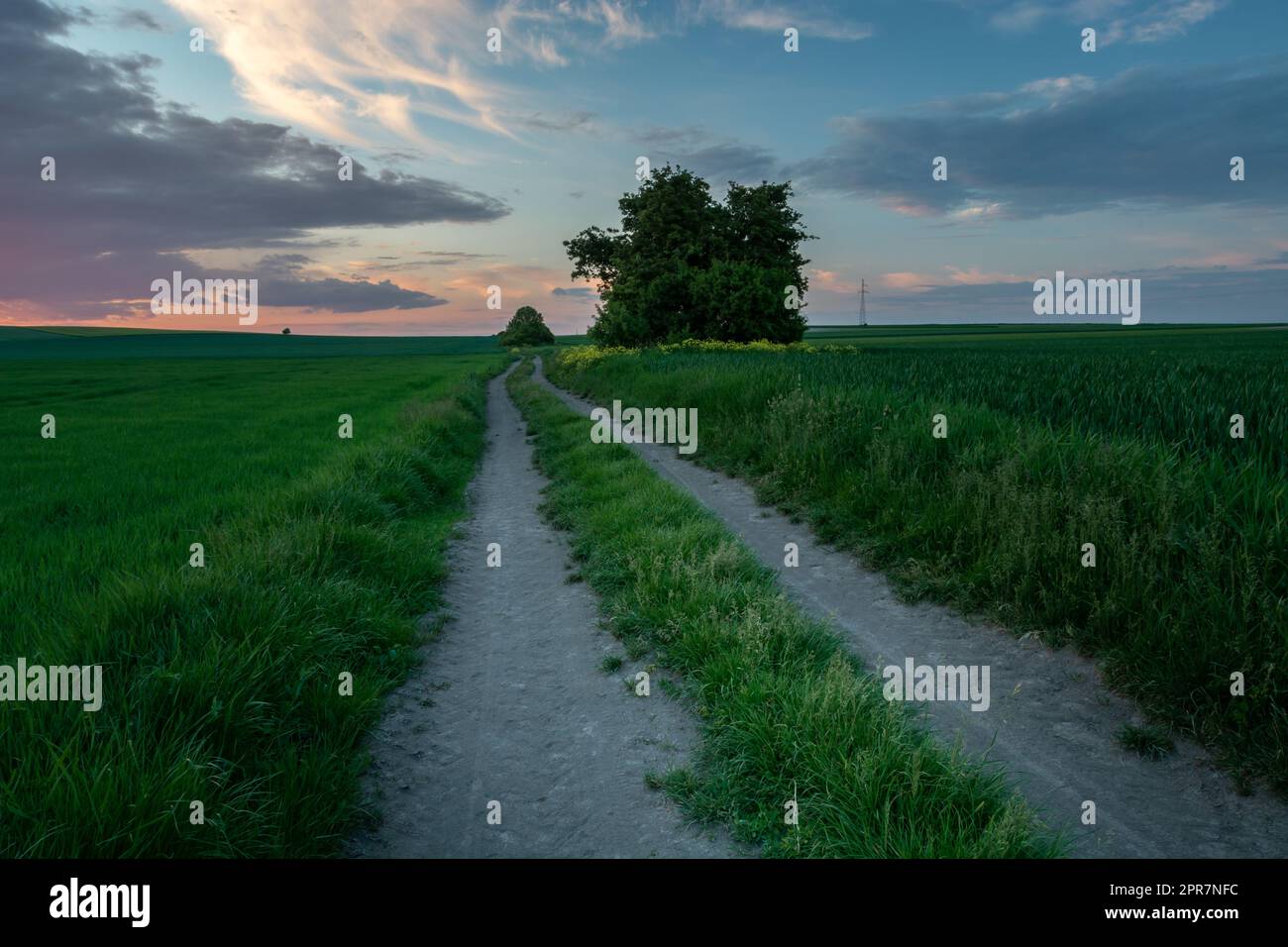 Rural road through green fields and the sky after sunset Stock Photo ...