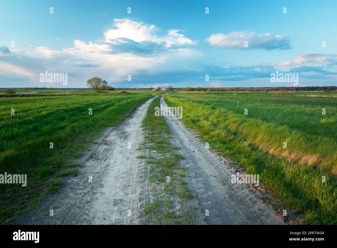 Dirt road through green fields and clouds above the horizon Stock Photo ...