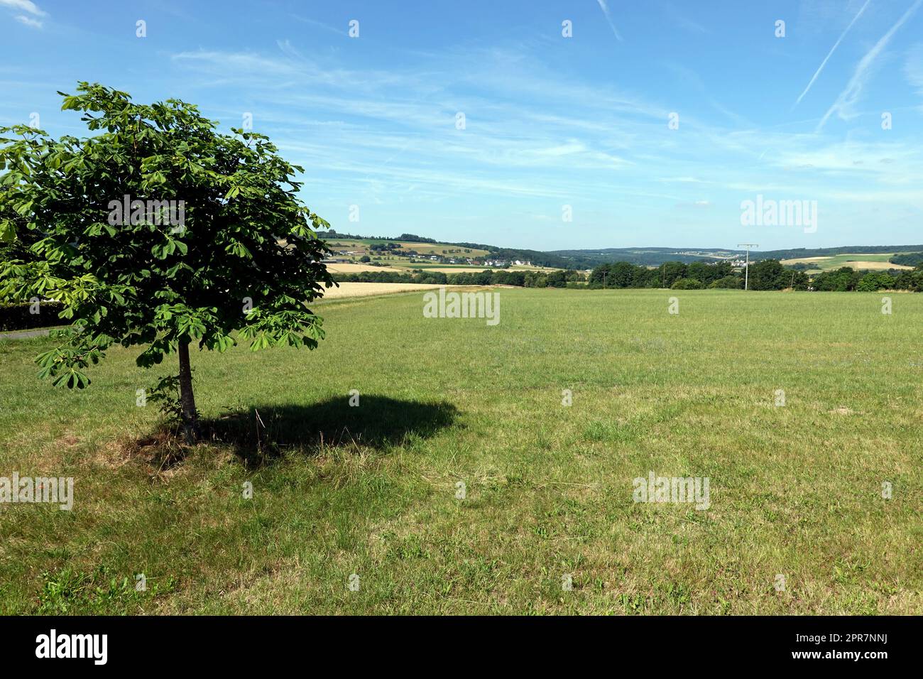 Eifellandschaft bei Müllenbach Stock Photo