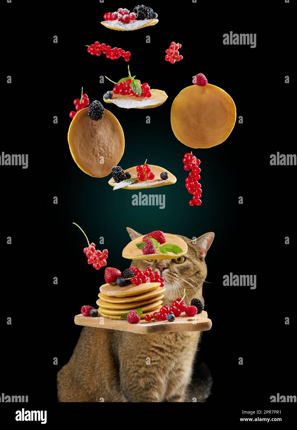Levitating baked pancakes with fruits and funny cat Stock Photo