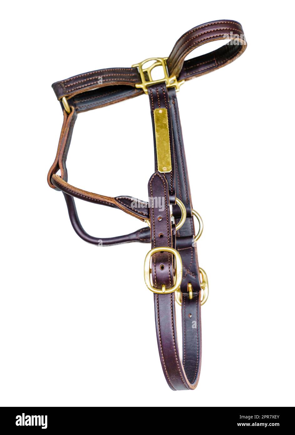 Closeup image of a leather bridle or horse halter isolated on white