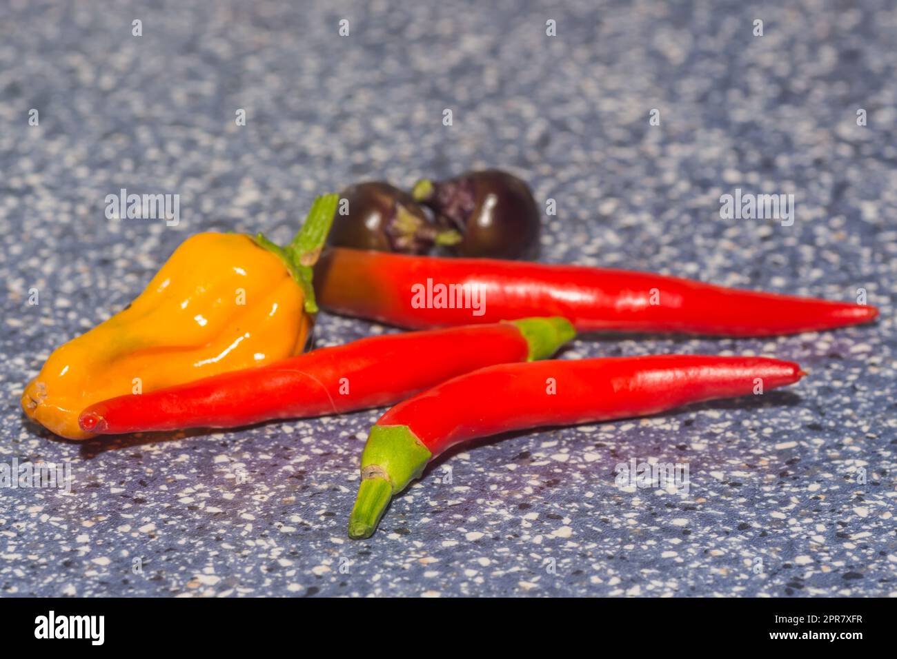 colorful sharp chilis from the garden Stock Photo