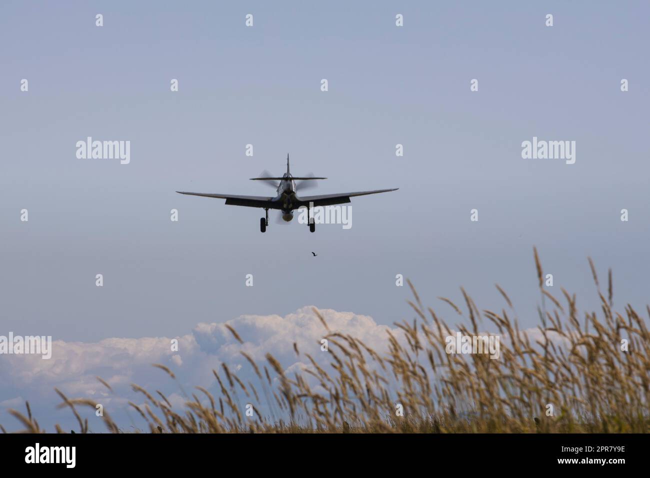 Curtis P-40 Kittyhawk fighter landing at Boundary Bay BC Canada Stock Photo