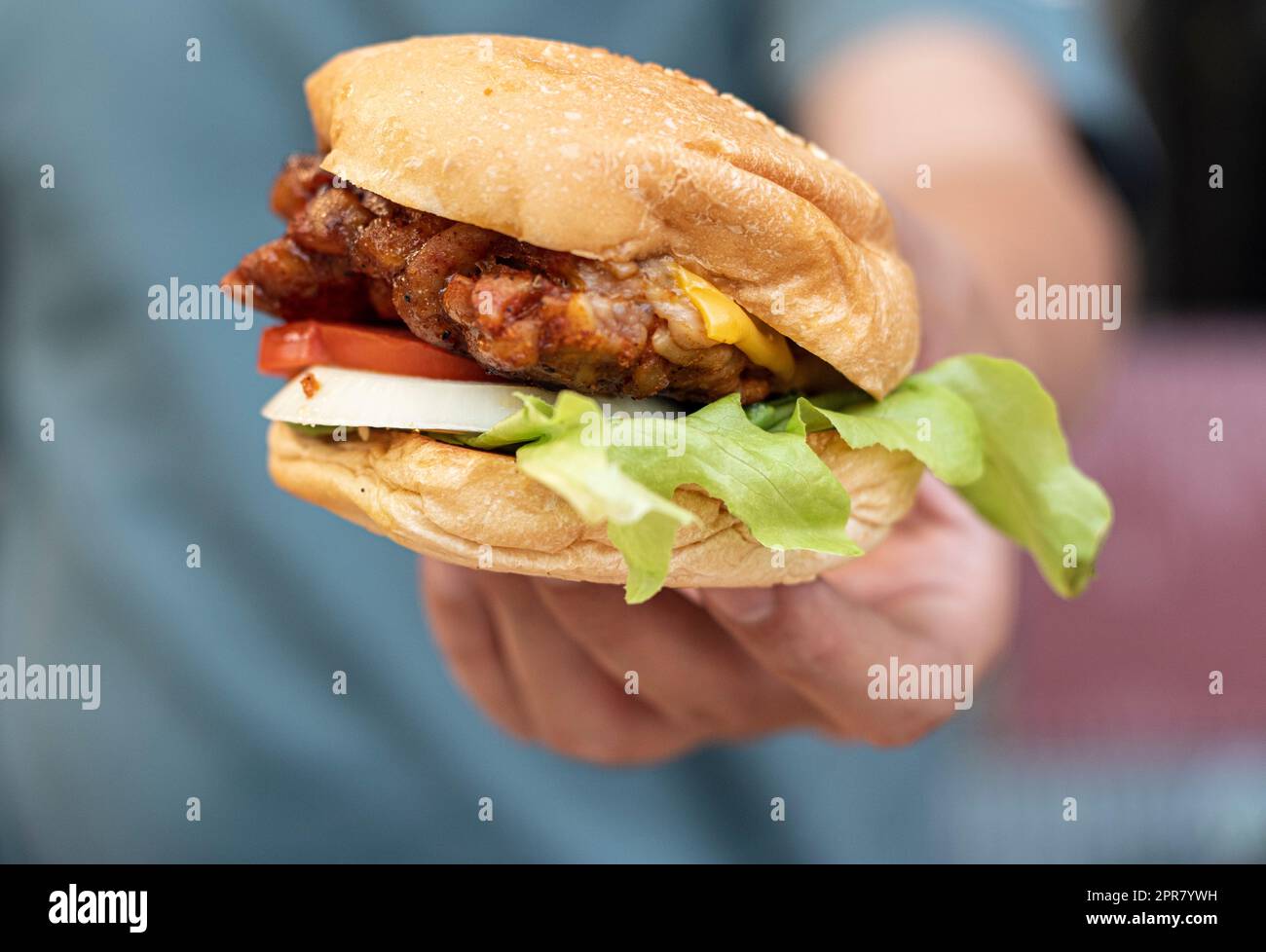 Hand hold Best Fast Food Fried Chicken Sandwiches Burgers with