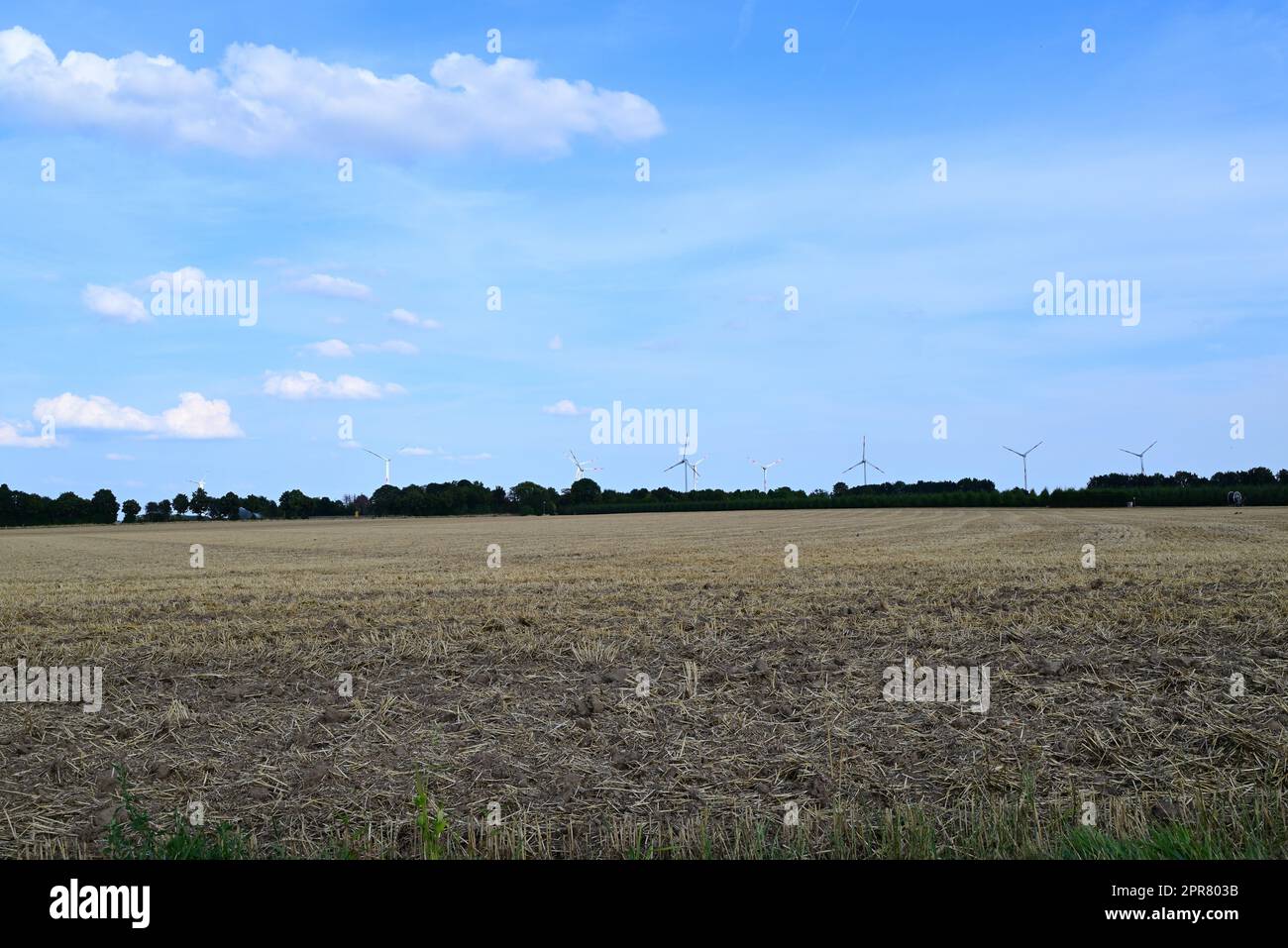 Summer landscape field wheat nature hi-res stock photography and images ...