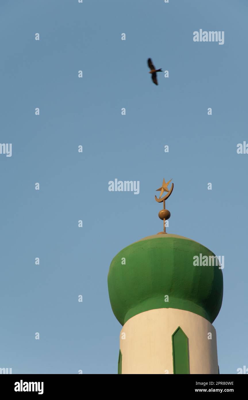 Minaret of a mosque and black kite in flight Stock Photo Alamy
