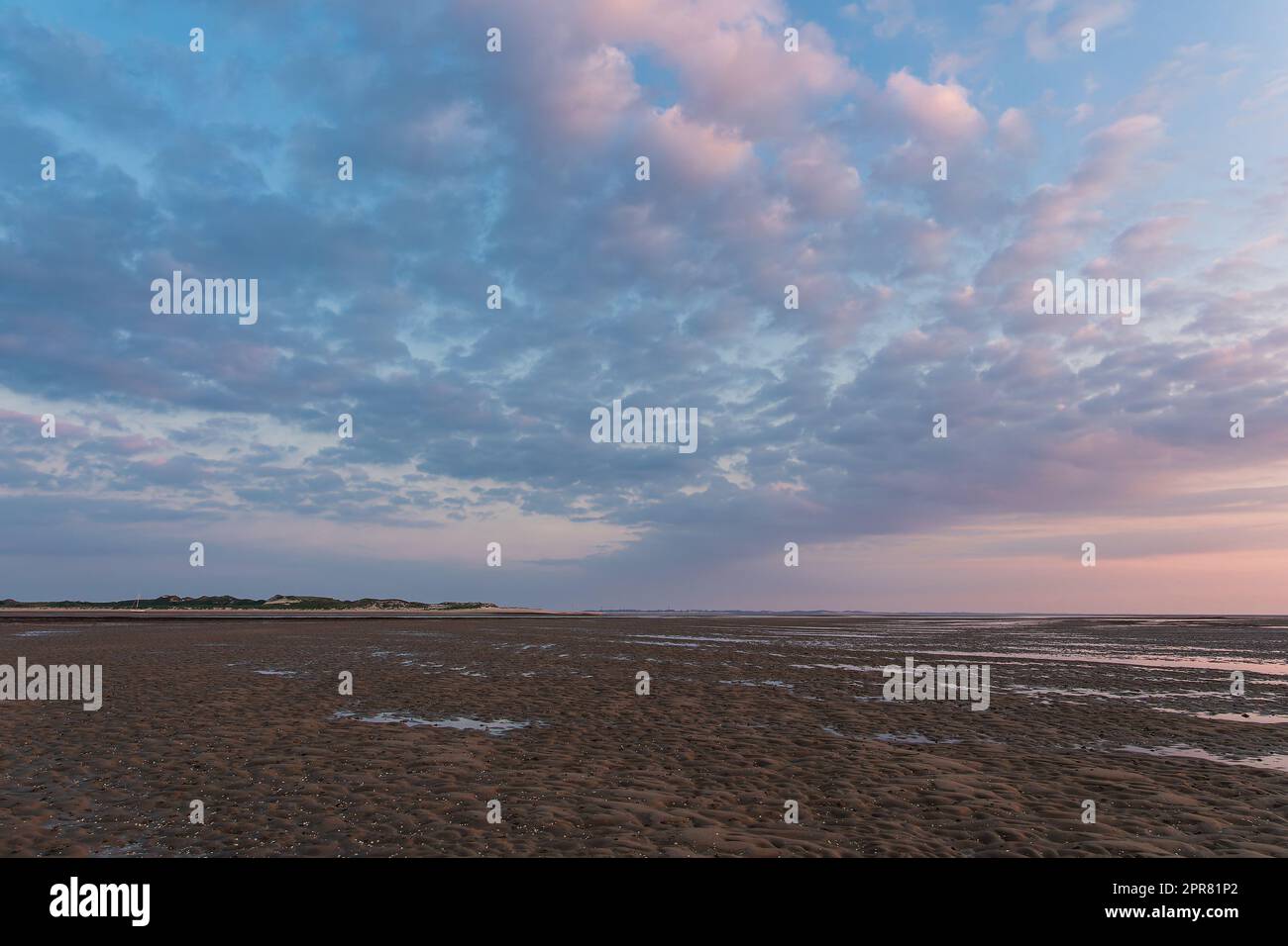 Mud flat in the morning on the island Amrum, Germany Stock Photo