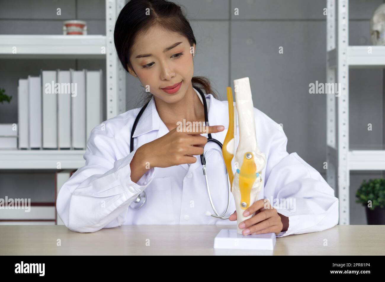 Young asian doctor in white gown and stethoscope pointing at anterior cruciate ligament on deluxe functional knee joint model. Stock Photo