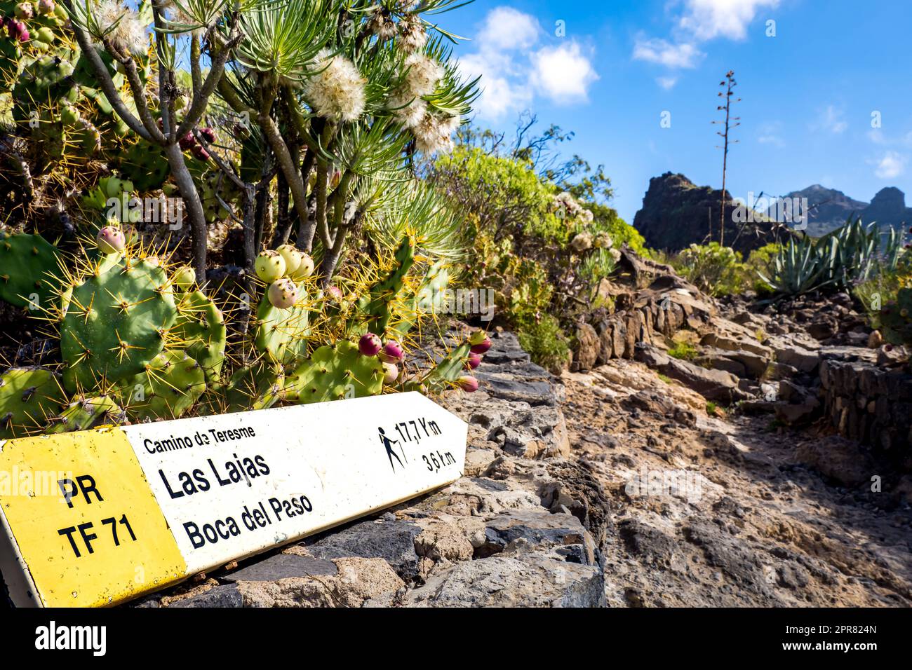 Hiking through Tenerife's rugged terrain on Camino de Teresme PR-TF 71 trail, a guidepost points towards the Boca del Paso and Las Lajas hiking areas. Stock Photo