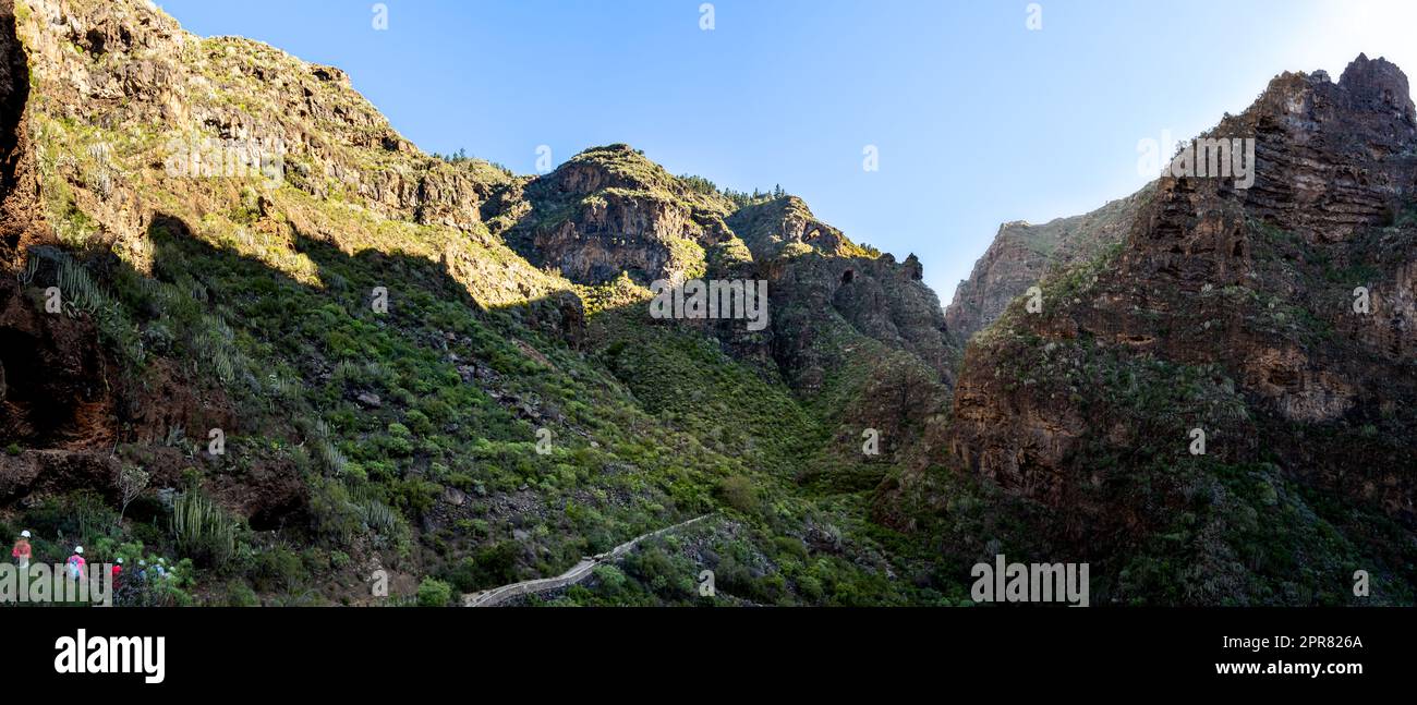 Hikers on a mysterious adventure through the lush greenery and rocky cliffs of Barranco del infierno ravine, Hell's gorge, in Adeje Tenerife. Stock Photo